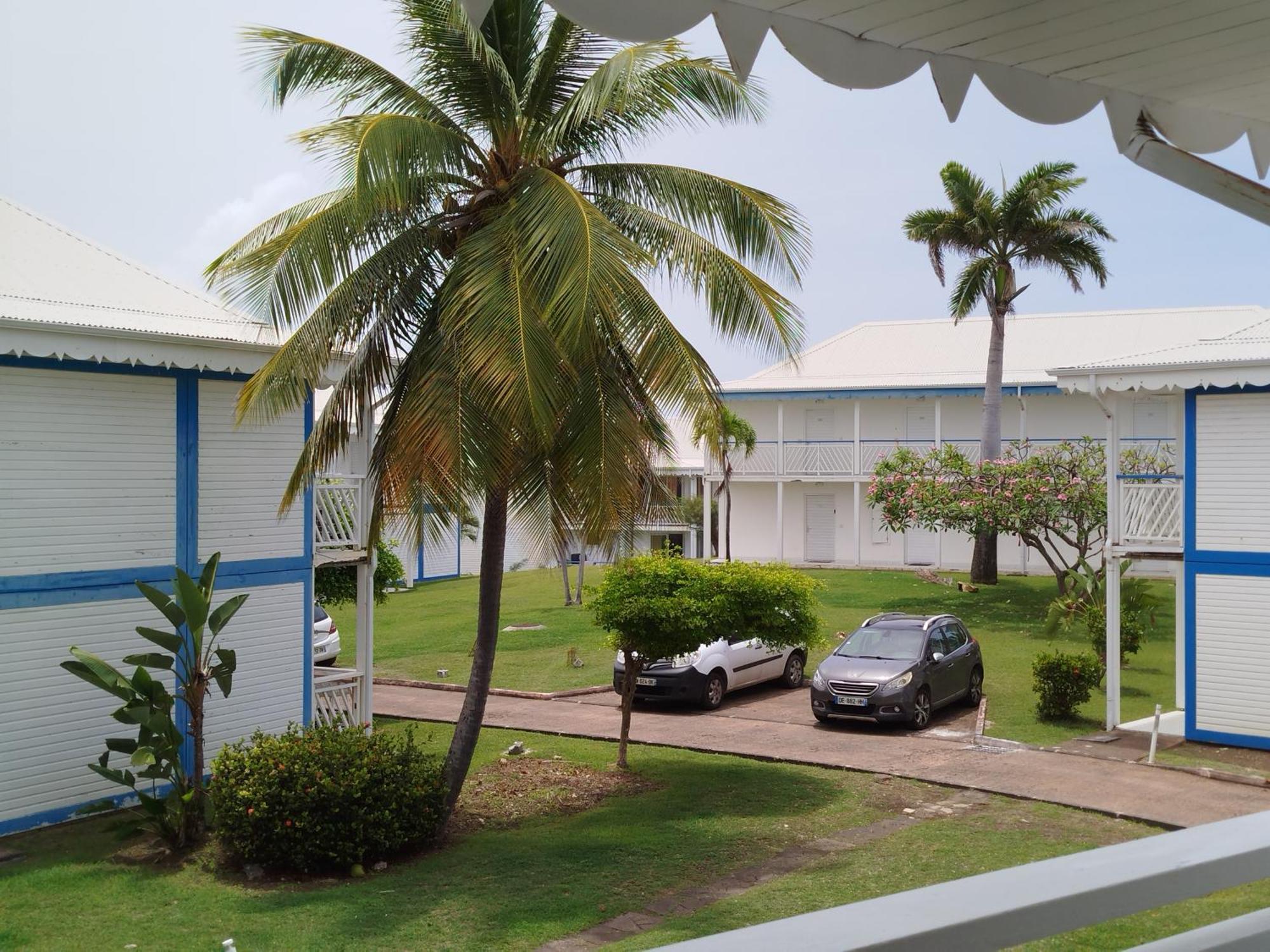 Studio Avec Grande Piscine, Plage Cannelle Caraibes 圣弗朗索瓦 外观 照片